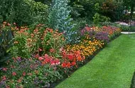flowerbed image